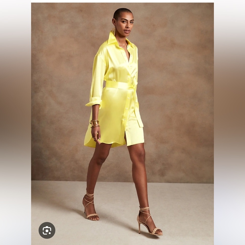 Banana Republic Petite Muse Silk Shirtdress EUC